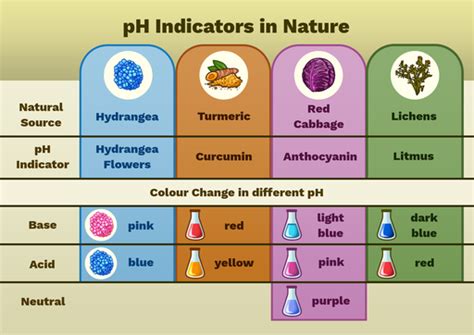 name some examples of ph indicators