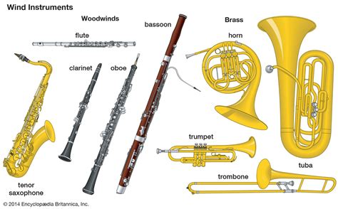 name some instruments which can be played by blowing