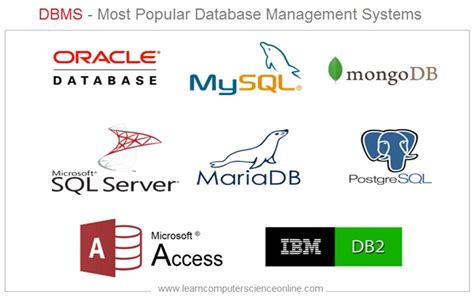 name some of the commonly used database management system software