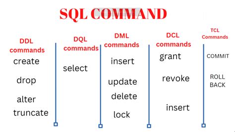 name two categories of sql commands class 10