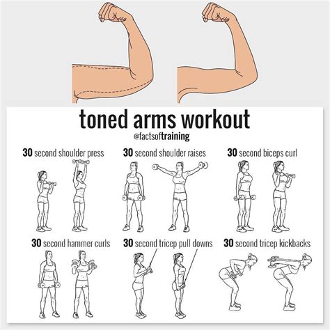 names of arm exercises with weights