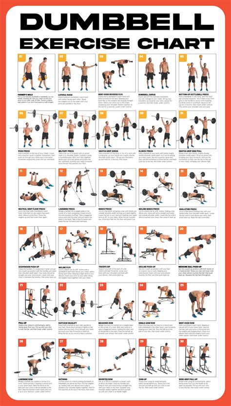 names of dumbbell exercises