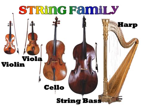 names of string instruments in an orchestra