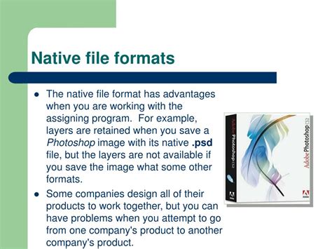 native file format examples