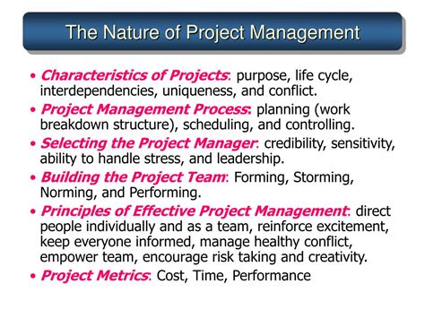 nature of project example