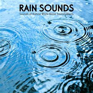 Nature Sounds, Rain Sounds & Nature Sounds Nature Music