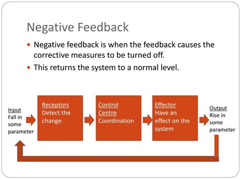 negative feedback for presentation examples