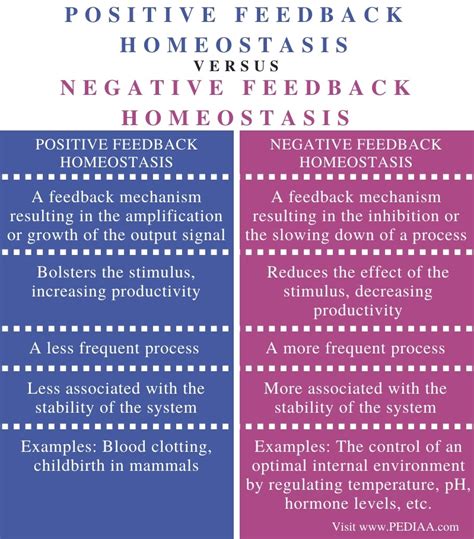 negative feedback vs positive feedback homeostasis examples
