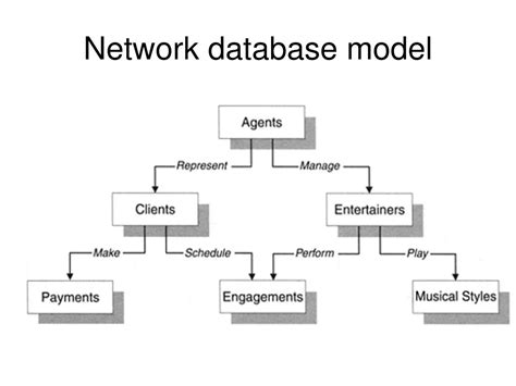 network database model examples
