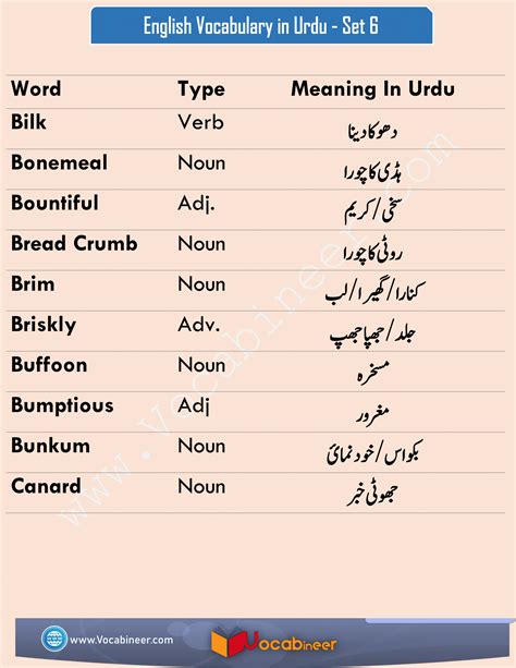 newest meaning in urdu