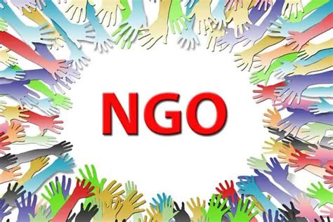 non governmental organization in nigeria and their functions