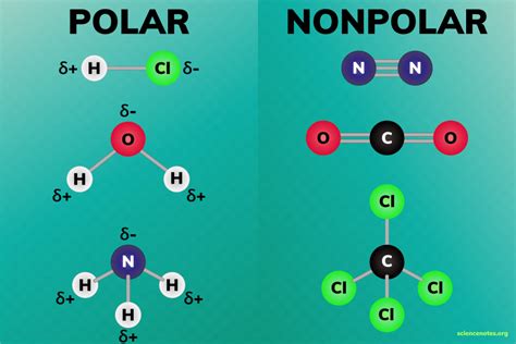 non polar materials examples