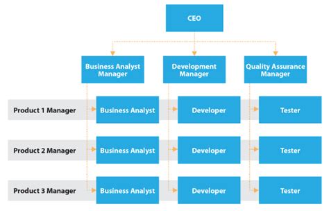 non project based organization example