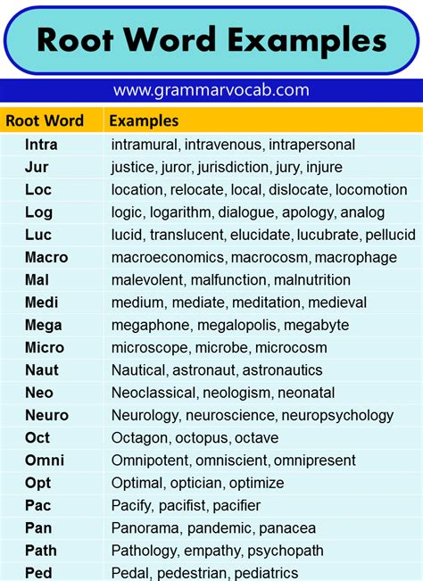 not root word examples