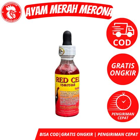 obat ayam