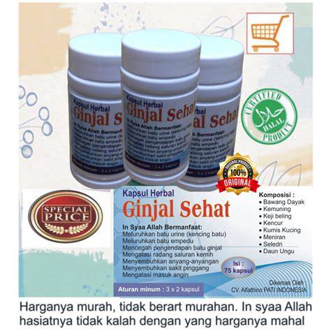 Obat Langka Bikin Cemas Pasien Ginjal Transplantasi? Kemenkes Kasih Penjelasan!