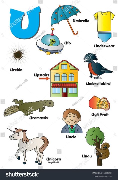 object words starting with u