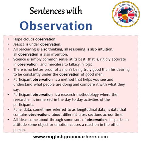 observation in a sentence for a child