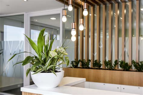 Office Reception Plants and Greenery