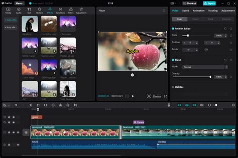 offline editing apps for pc