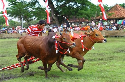 Olahraga Tradisional Indonesia