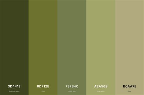 olive color hex code