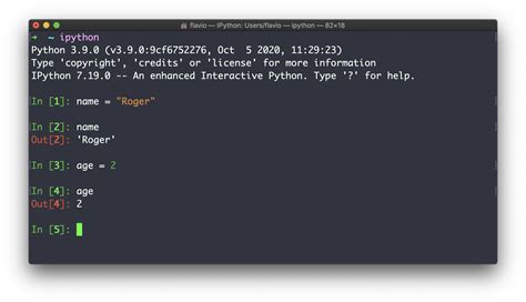 online run python program
