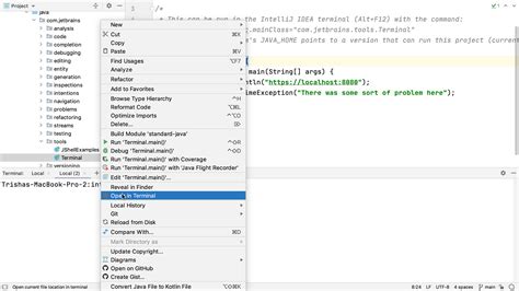 open project in intellij from terminal