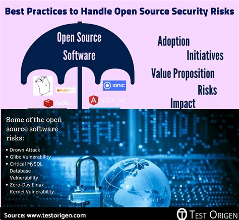open source software security best practices