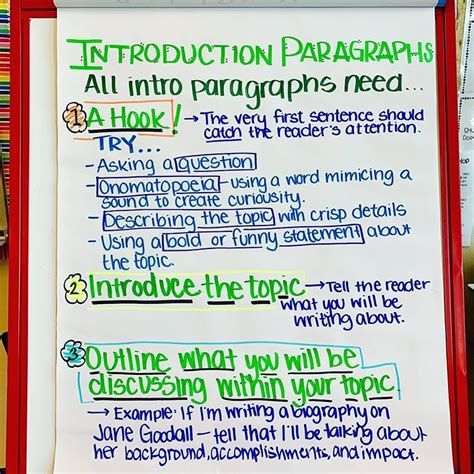 opening paragraph examples for students
