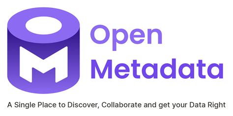 Openmetadata Data Catalog