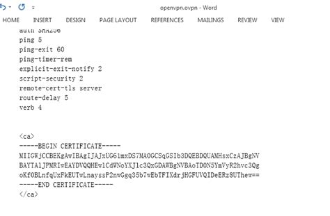 openvpn client file example