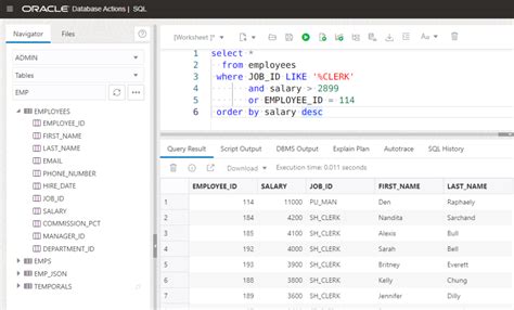 oracle rest api query parameters example