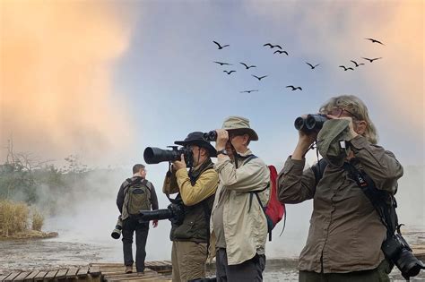 Gambar ilustrasi orang birdwatching