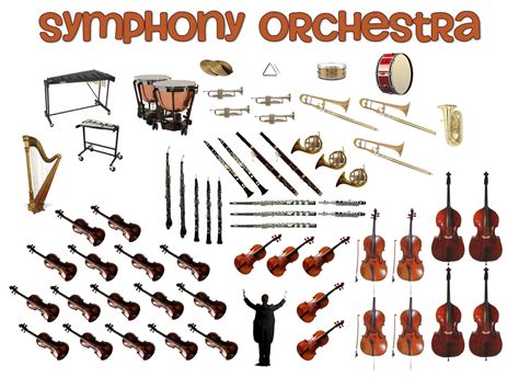 orchestral instruments list with pictures