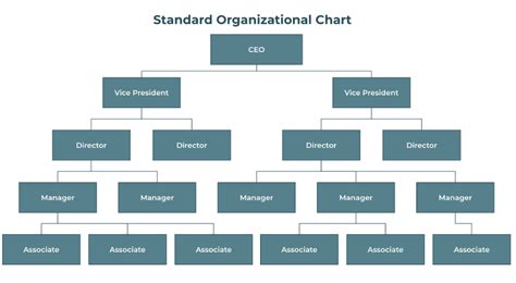 Organizational Chart Definition
