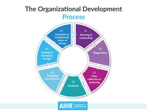 organizational development theory examples