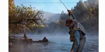 Orvis's Fly Fishing Products