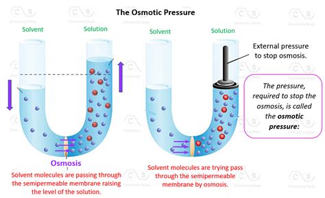 Tekanan Osmotik: Lawan Tangguh Osmosis