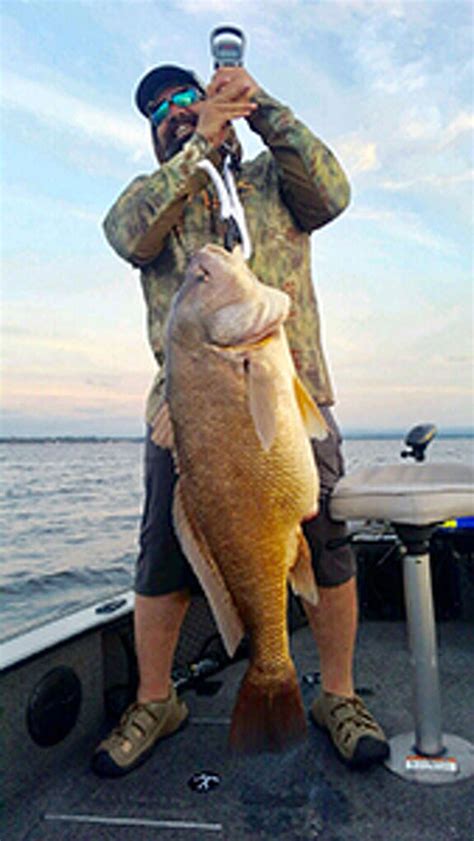 Other fishes found in Oneida Lake