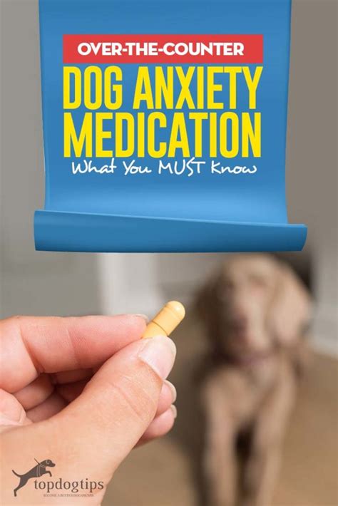 over the counter medication for dog aggression and anxiety