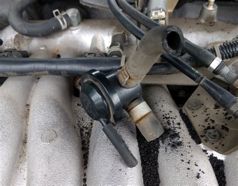 p0446 engine code