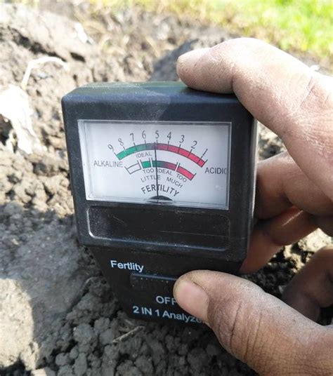 pH Tanah untuk Tanaman Hias