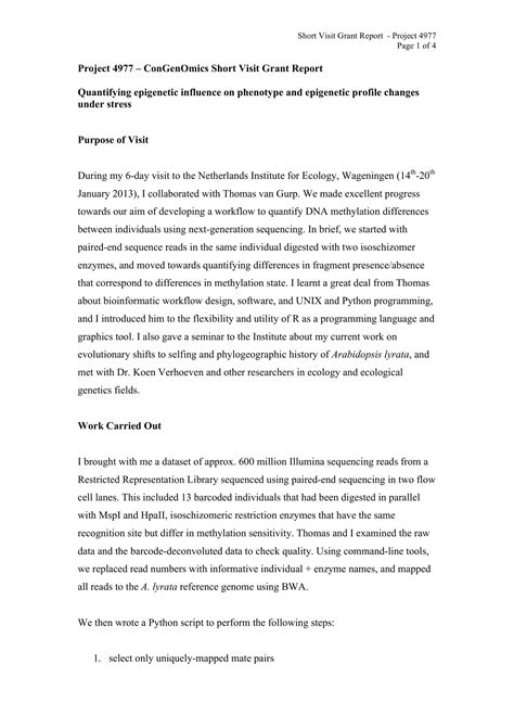 page report example