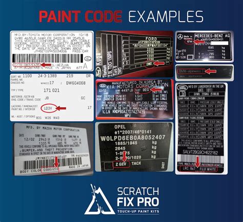 paint code sample