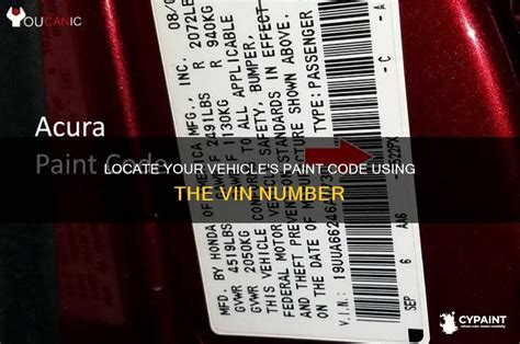 paint code using number plate