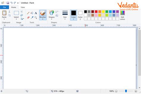 paint is an example of which software