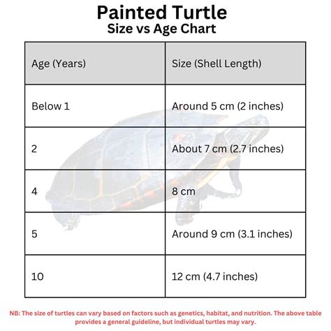 Painted Turtle Size Age Chart