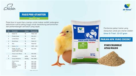 pakan ayam broiler
