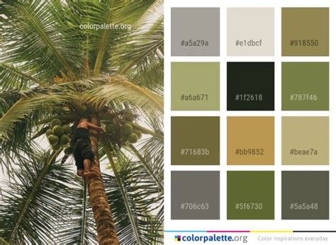 palm tree color hex code